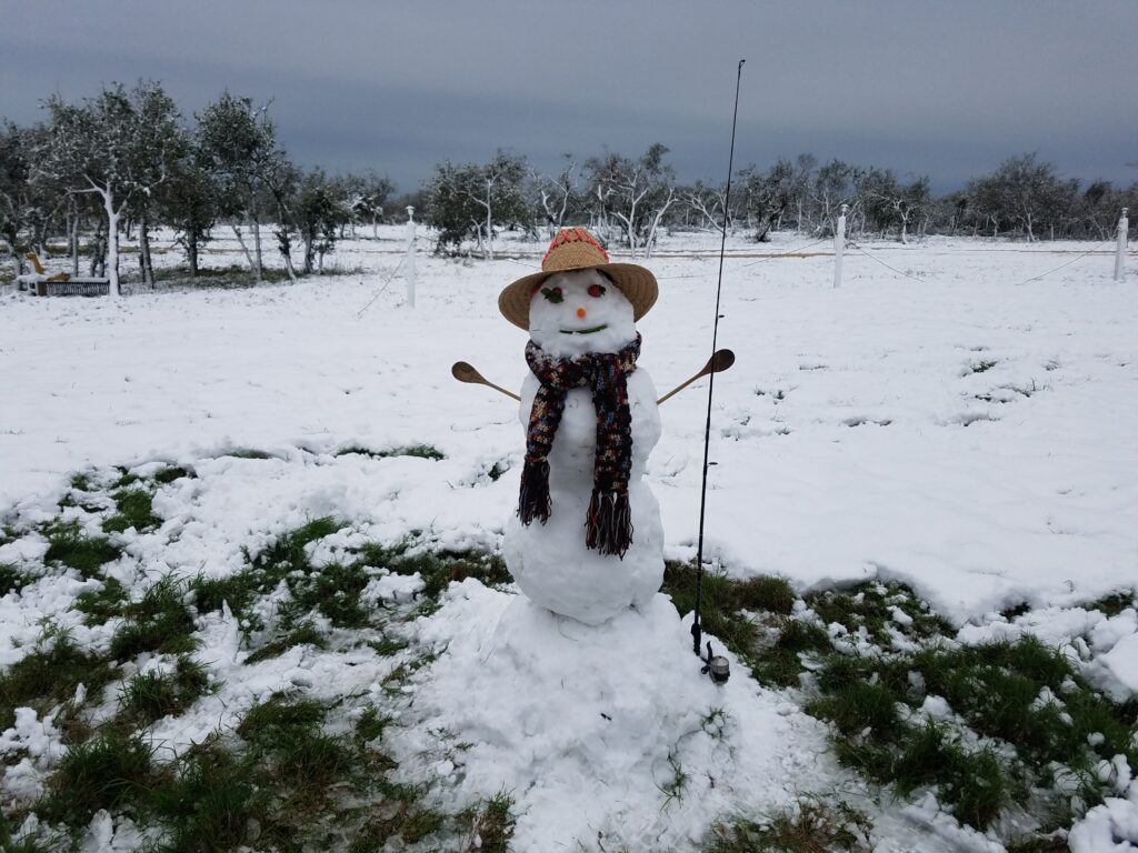 December 8, 2017 Cocahoe RV Park Snow Day Snowman